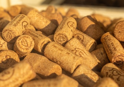 FSC认证避坑指南：2026年企业采购包装必读的专业干货