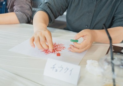 2026手提袋材质新规深度解读：商家必知的合规与趋势