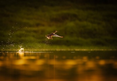 2026年飞机盒定制价格行情深度解析：成本、趋势与采购策略