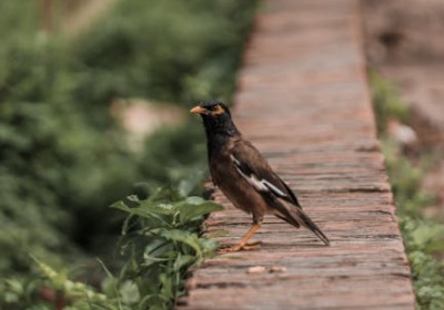 2026环保包装避坑指南：从选材到认证的10年专家深度解析