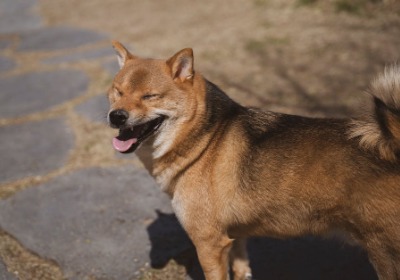 快闪店包装搭建避坑指南（2026年专业版）
