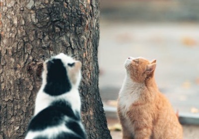 小批量定制是什么意思？2026年避坑指南